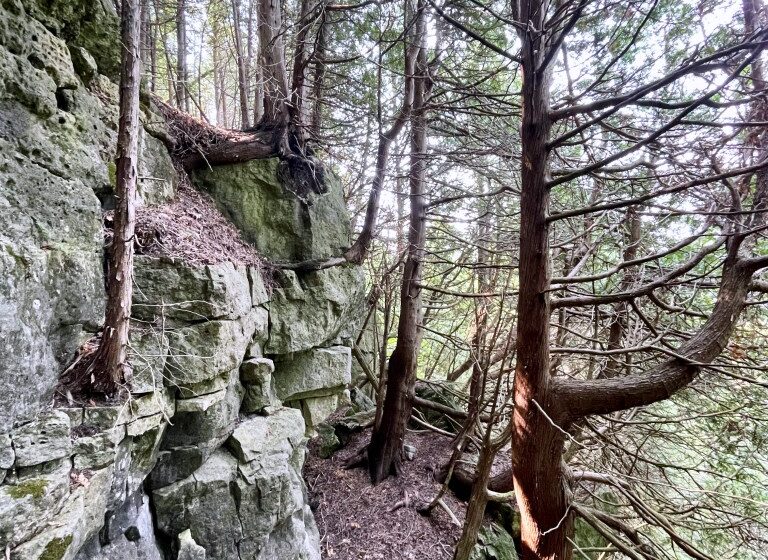  Escarpment Corridor Alliance secures Metcalfe North